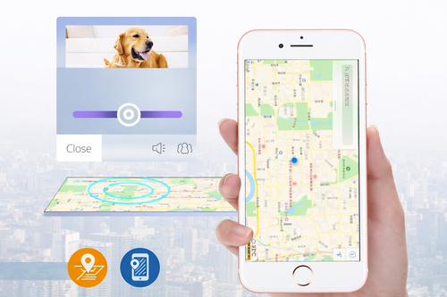 GPS Pet Tracking Collar for Dogs